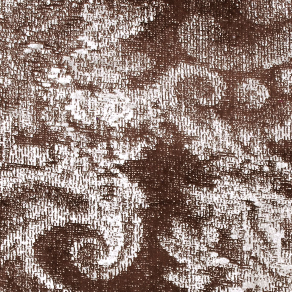 Brown Classical Shimmery Velvet Detail Brown Classical Shimmery Velvet Detail