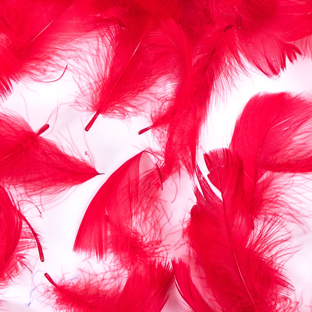 Red 5 Gram Bag of Feathers - Detail Red 5 Gram Bag of Feathers - Detail