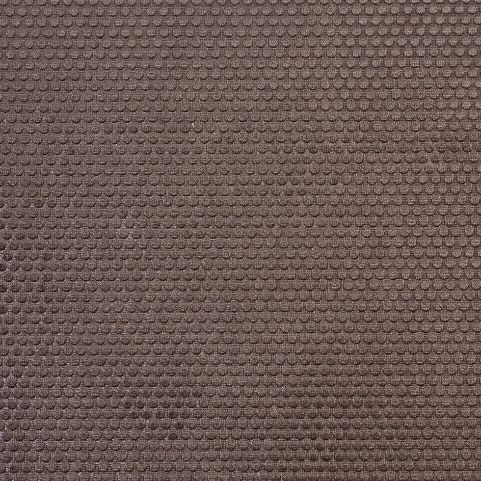 Ginger Snap Dotted Cut Velvet Ginger Snap Dotted Cut Velvet