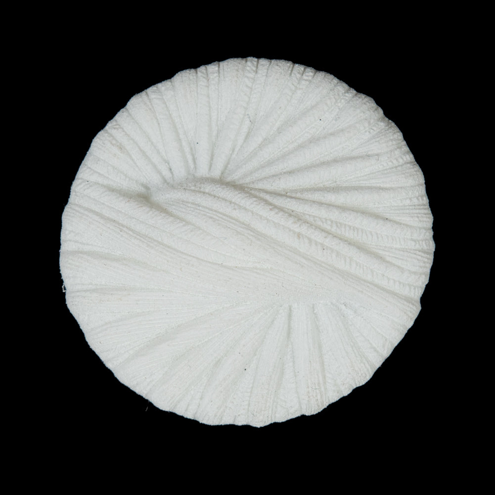 Italian White Twisted Plastic Shank-Back Button - 44L/28mm Italian White Twisted Plastic Shank-Back Button - 44L/28mm