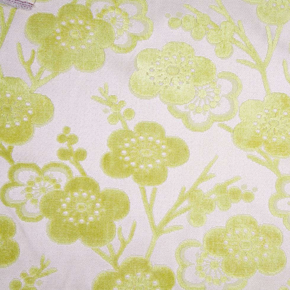 Citron/Beige Floral Chenille Citron/Beige Floral Chenille