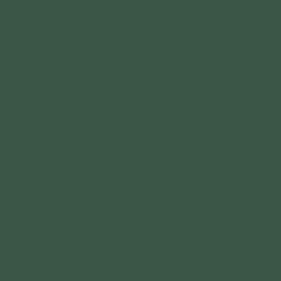 Gutermann Sew All Thread 100m - 788 Dark Green Detail