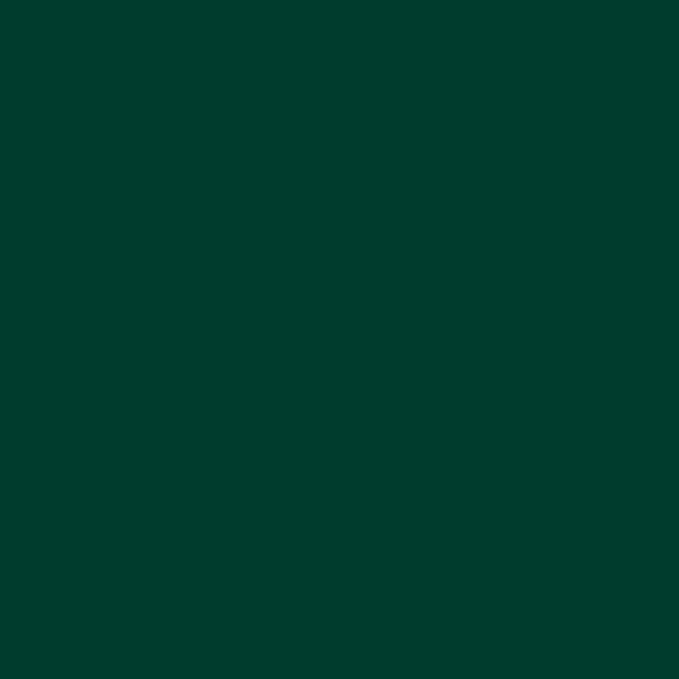 Gutermann Sew All Thread 100m - 785 Bench Green Detail