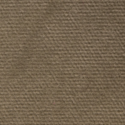 Lichen Solid Cotton Velvet Detail