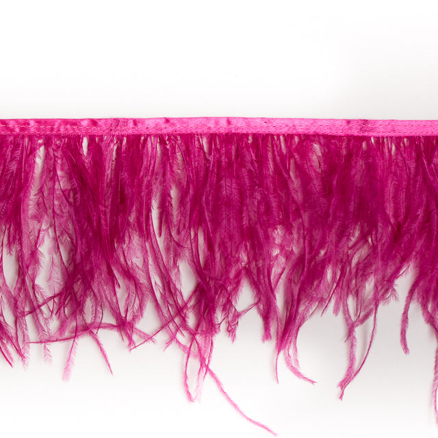 6 Single Ply Pink Ostrich Fringe