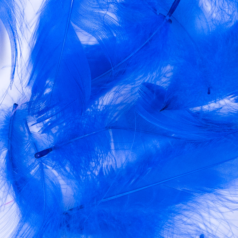 Blue 5 Gram Bag of Feathers Detail