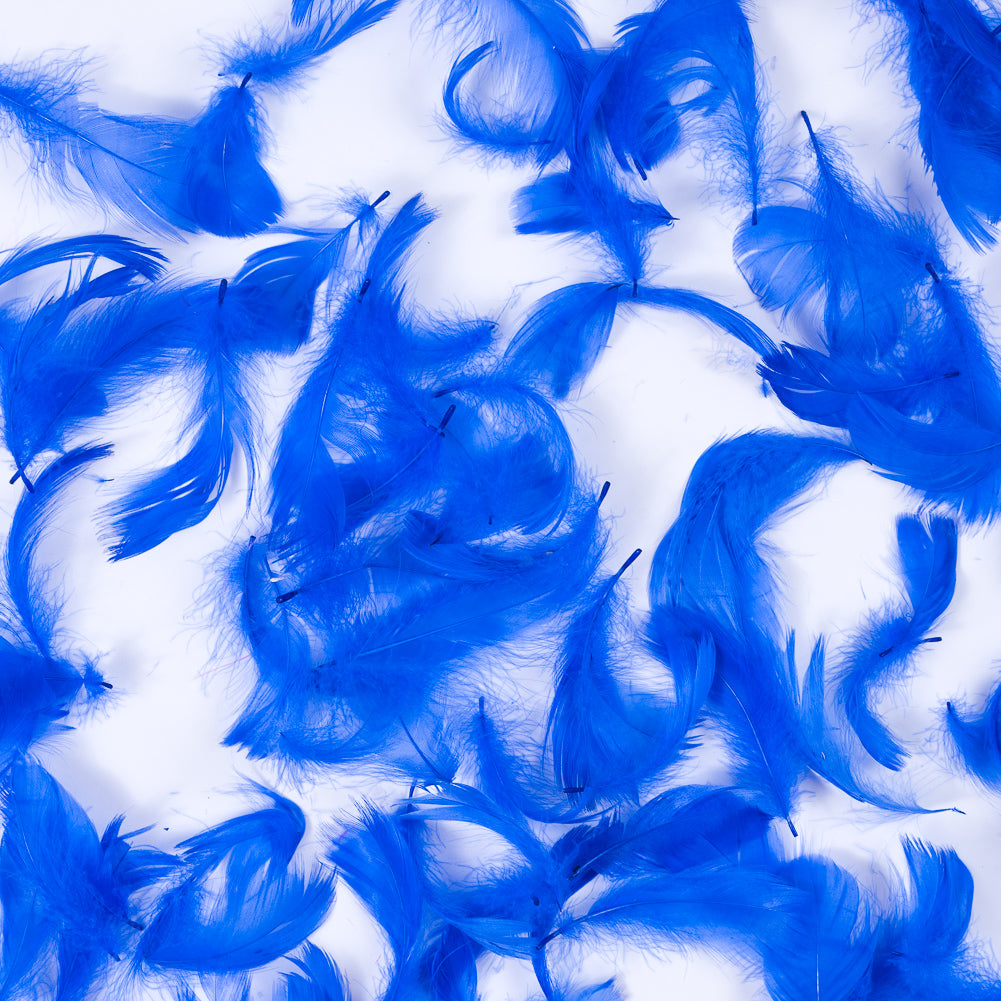 Blue 5 Gram Bag of Feathers