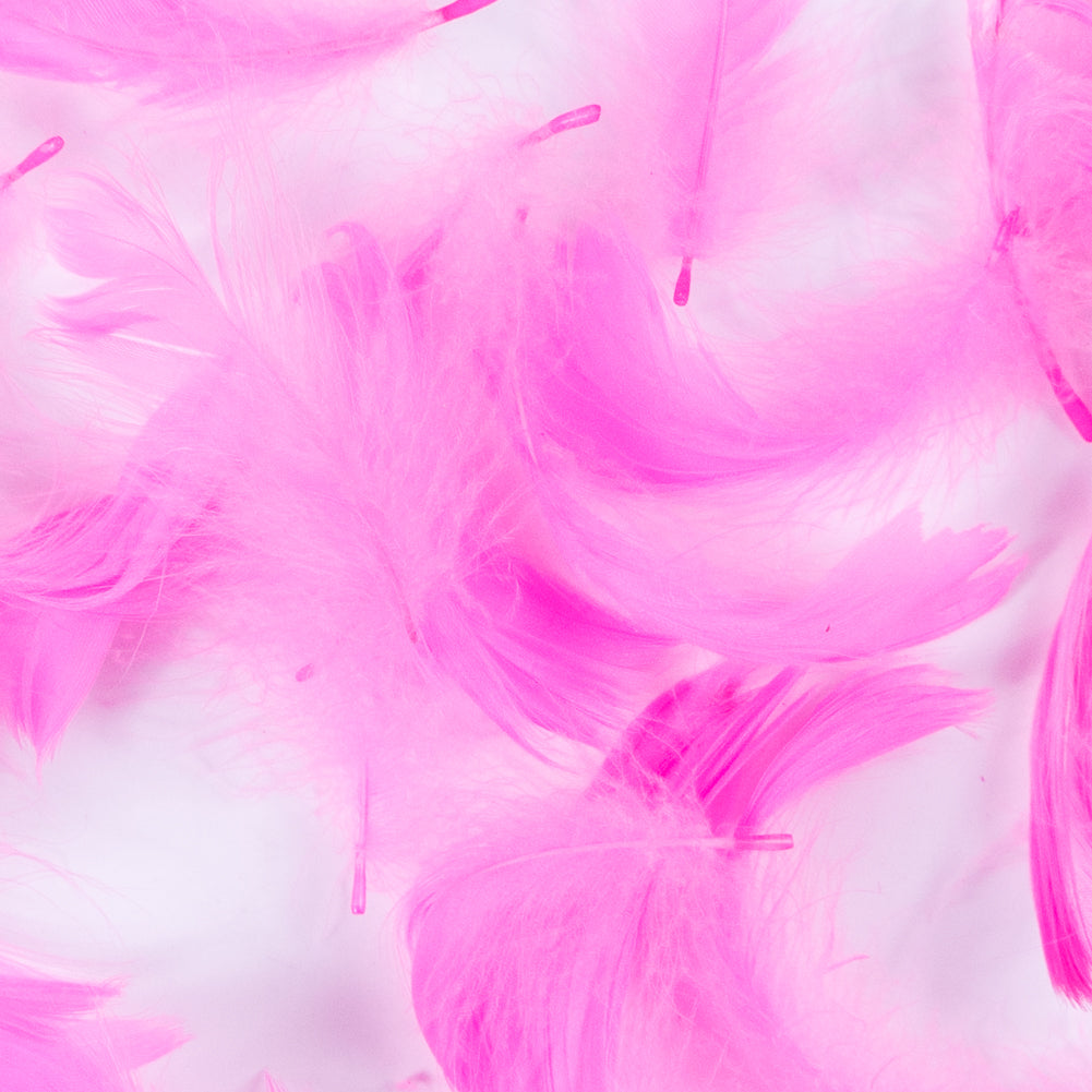 Pink 5 Gram Bag of Feathers Detail