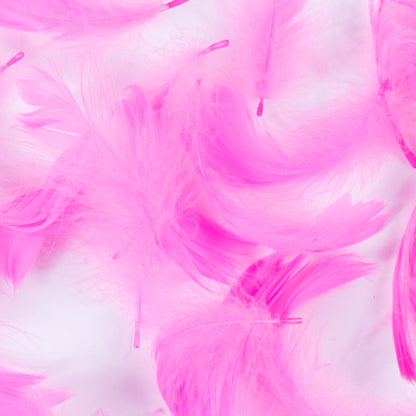 Pink 5 Gram Bag of Feathers Detail