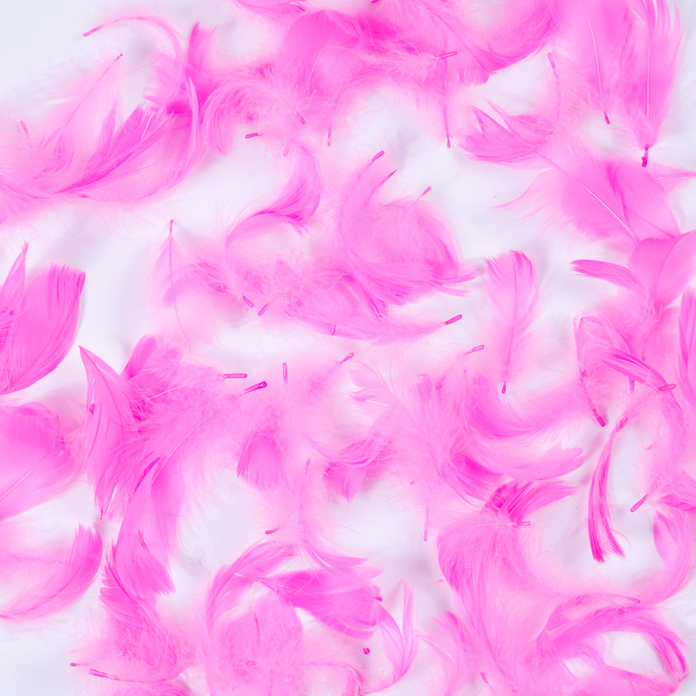 Pink 5 Gram Bag of Feathers