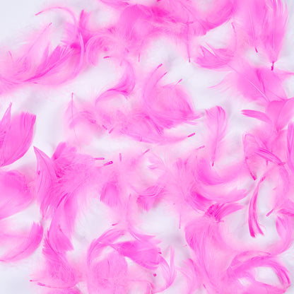 Pink 5 Gram Bag of Feathers