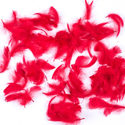 Red 5 Gram Bag of Feathers
