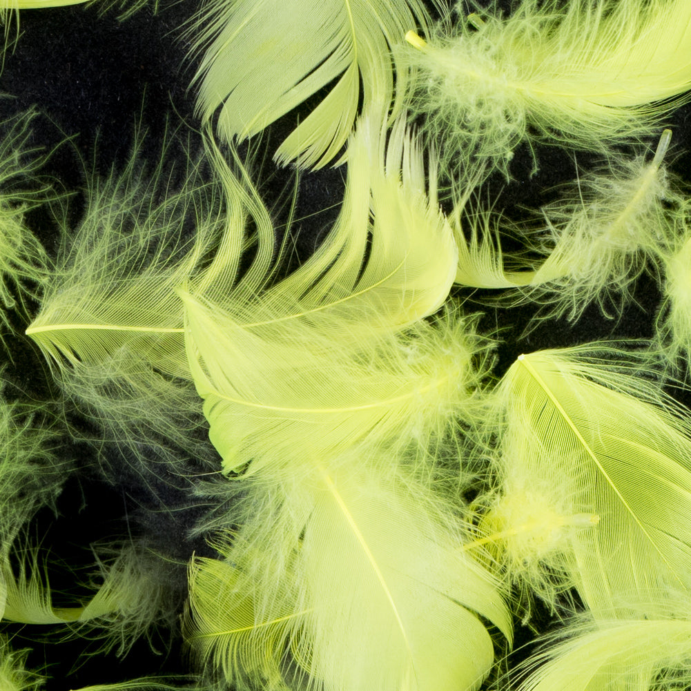 Yellow 5 Gram Bag of Feathers - Detail