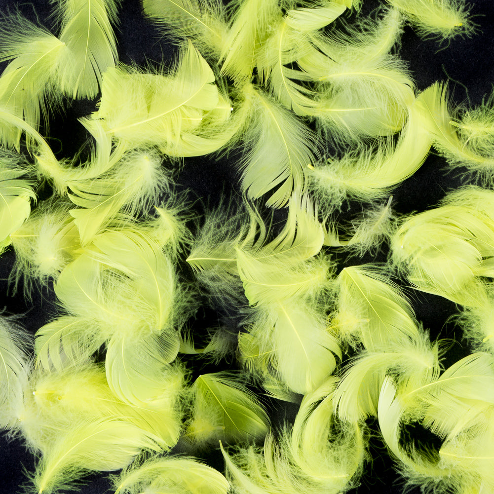 Yellow 5 Gram Bag of Feathers