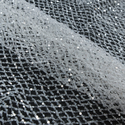 Fancy Sequined Netting - Off-White Detail