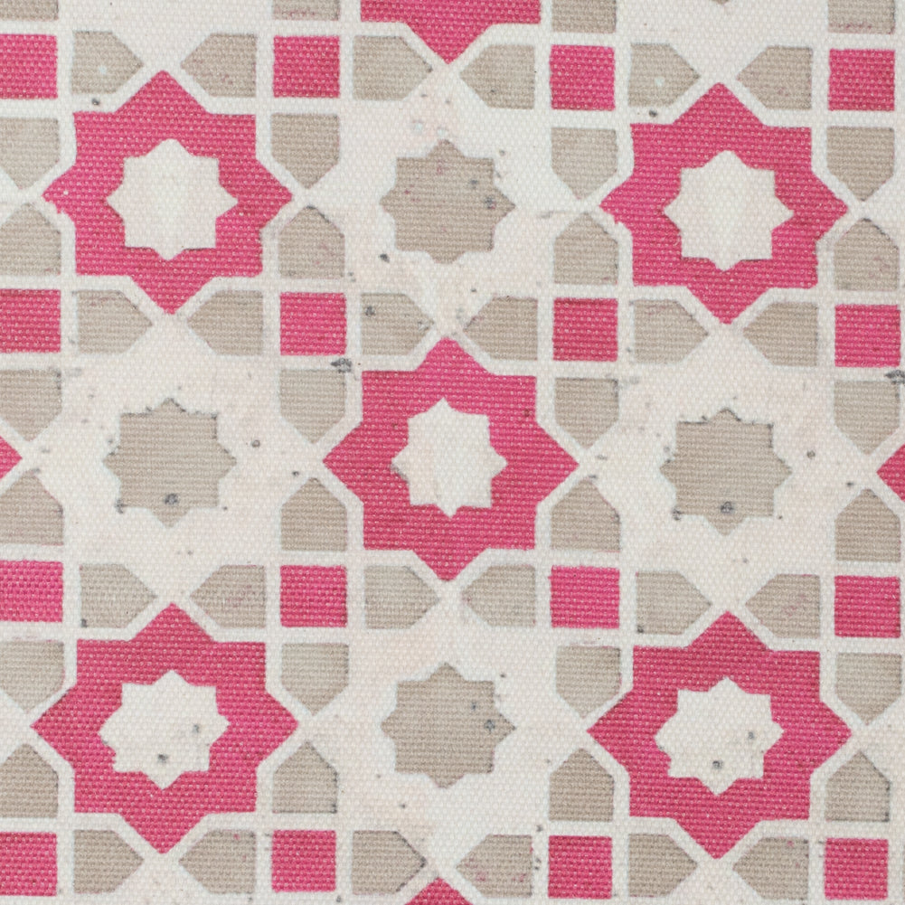 Pink/Beige Geometric Floral Outdoor Canvas