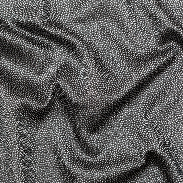 Metallic Silver on Black Abstract Luxury Brocade