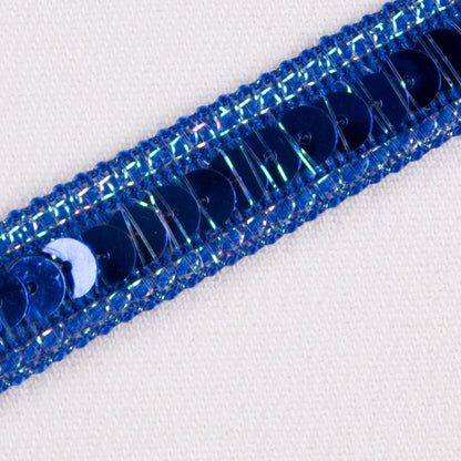 1/2" Periwinkle Fancy Sequin Trim Detail