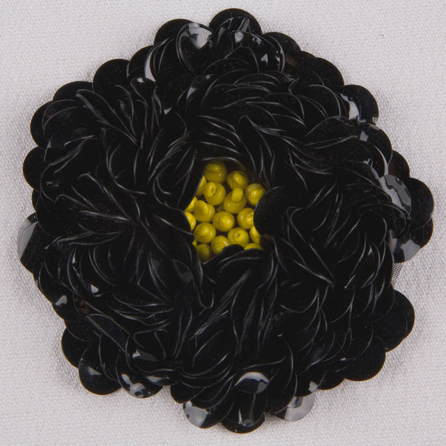 Sequin Applique