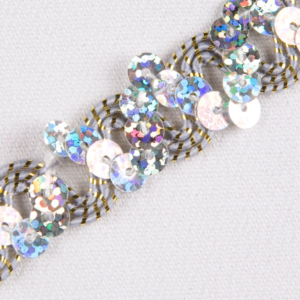 1/2" Silver Fancy Sequin Trim Detail