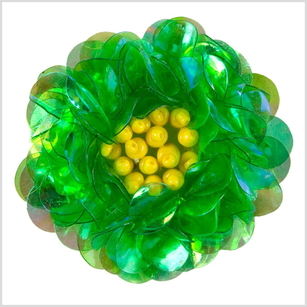 2 Crystal Green Fancy Applique