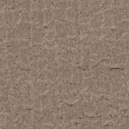 Taupe Crinkled Polyester-Rayon Woven Detail
