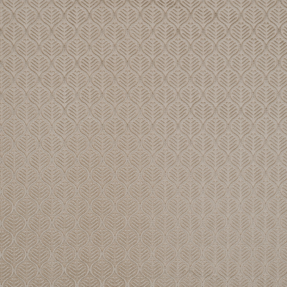 Champagne Geometric Cut Velvet