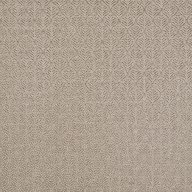 Champagne Geometric Cut Velvet