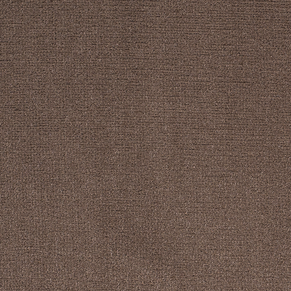 Latte Home Decor Velvet - Detail