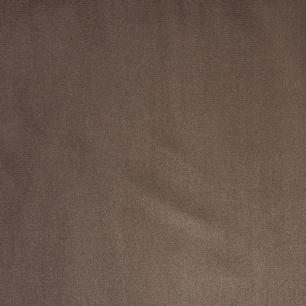 Latte Home Decor Velvet