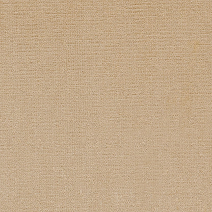 Pale Gold Home Decor Velvet - Detail