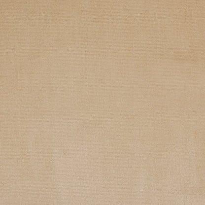 Pale Gold Home Decor Velvet