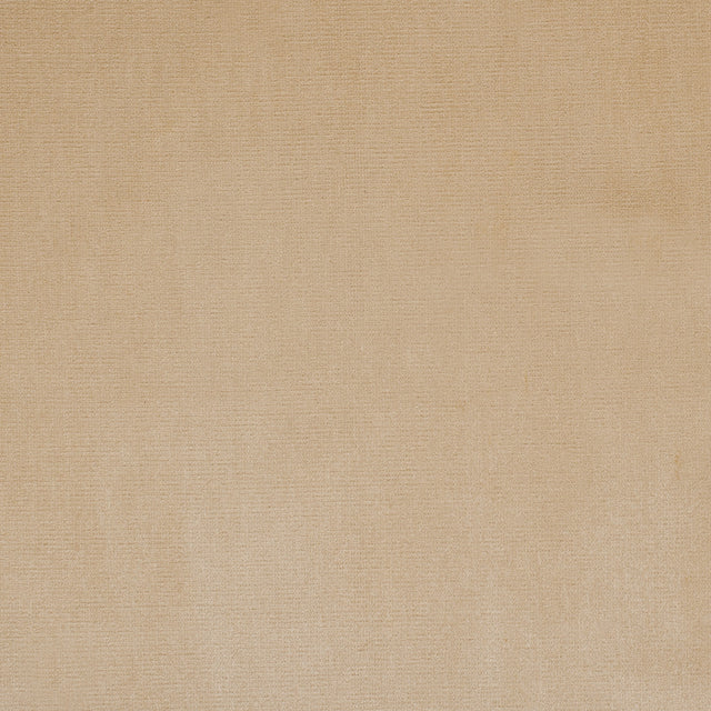Pale Gold Home Decor Velvet