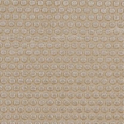 Warm Beige Dotted Cut Velvet Detail
