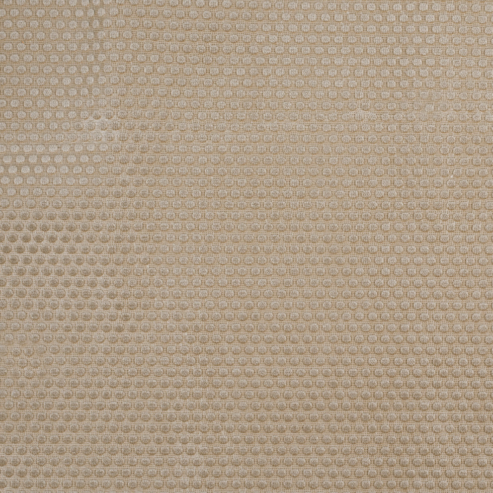 Warm Beige Dotted Cut Velvet