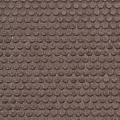 Ginger Snap Dotted Cut Velvet Detail