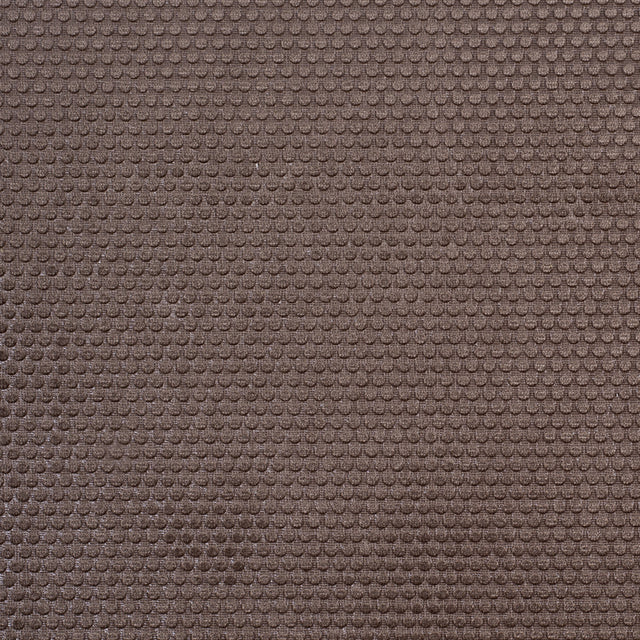 Ginger Snap Dotted Cut Velvet