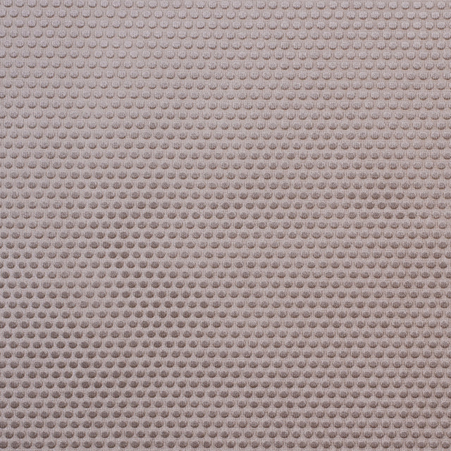 Beige Dotted Cut Velvet