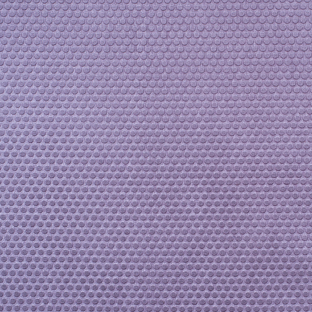 Iced Lilac Dotted Cut Velvet