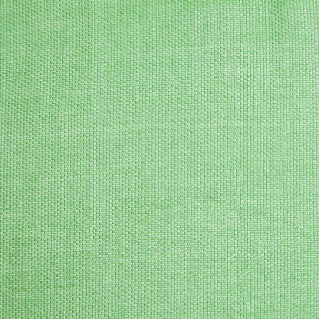 Italian Grass Green Raffia-Like Novelty Woven