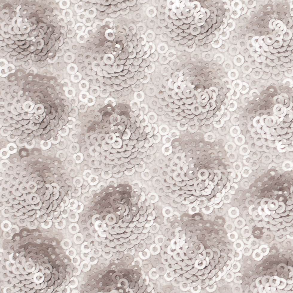 Polyester Mesh with Clustered Baby Sequins - Silver Detail