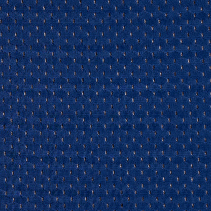 Royal Blue 100 Denier Polyester Athletic Mesh