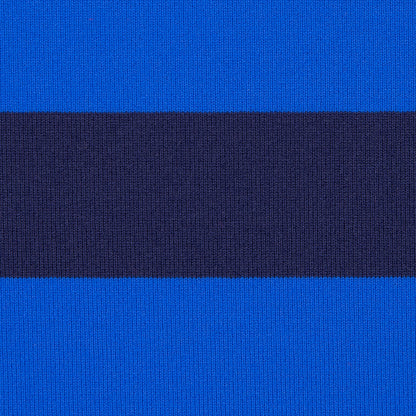 Electric Blue Awning Striped Stretch Eclon Jersey Detail