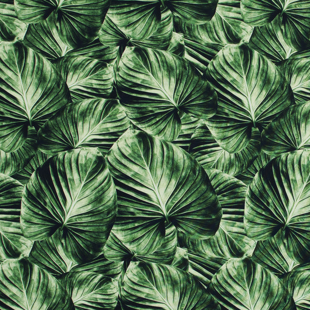 Banana Leaf Caye UV Protective Compression Swimwear Tricot with Aloe Vera Microcapsules