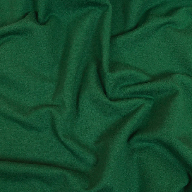 Fleece-Backed Stretch Cotton Knit - Forest Green - Cecil Collection