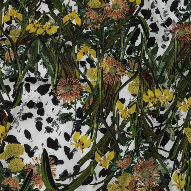 Mercerized Organic Egyptian Cotton Shirting - Spotted Iris and Chrysanthemums - Ravello Collection