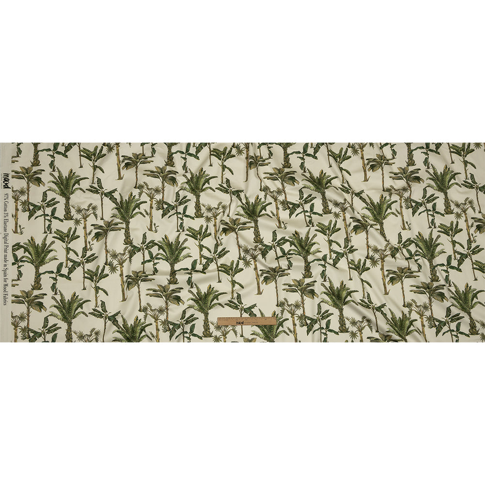 Mood Exclusive Ivory Heart of Palm Stretch Cotton Sateen Full