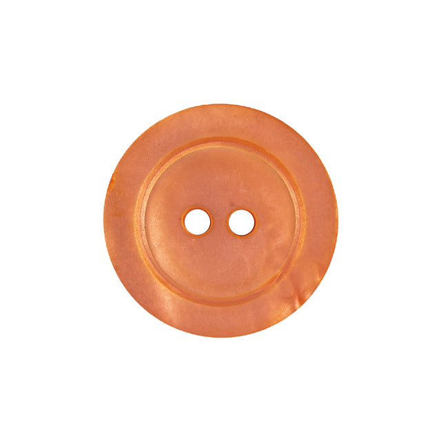 Sun Baked Iridescent 2-Hole Plastic Jacket Button - 36L/23mm