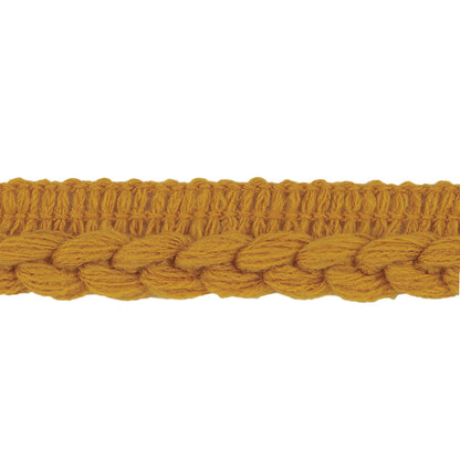 Golden Yellow Braid Trim with Lip - 0.75" Detail