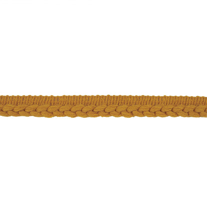 Golden Yellow Braid Trim with Lip - 0.75"
